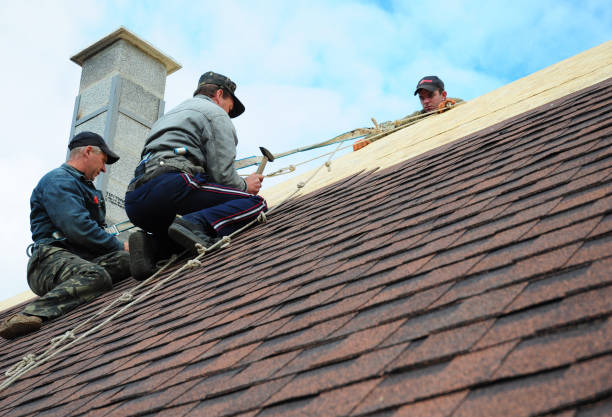 Best Local Roofing Companies  in Paducah, KY